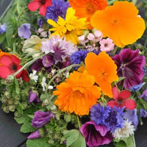 Blomsterblanding fr�. Wildflower. �kologisk. Ca. 2 gr. Fr�