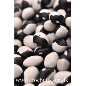 Bnner. Yin Yang. Buskbnner. Phaseolus vulgaris. Fr.