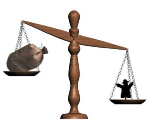 Billigere frø i storpak