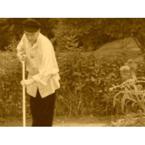 Frø fra gamle sorter.